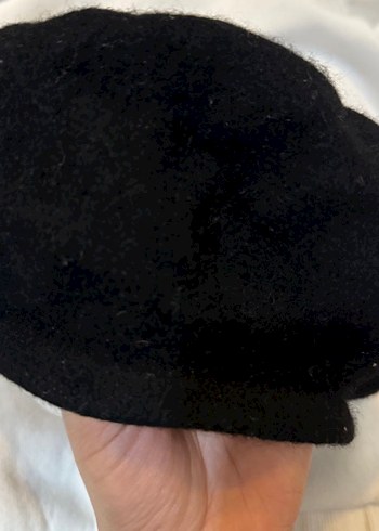 Siyah ressam bere - Görsel 2