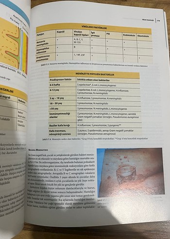 Diş Hekimliği İçin Mikrobiyolojinin Esasları Kitabı - Görsel 3