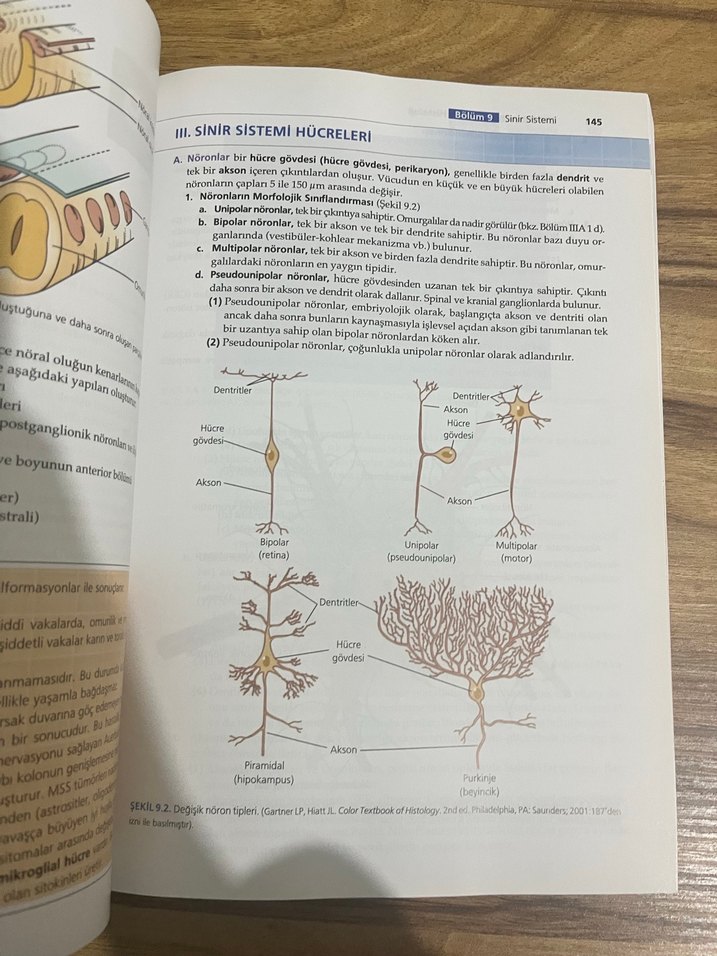 BRS Hücre Biyolojisi ve Histoloji - 7. Baskı - Görsel 3