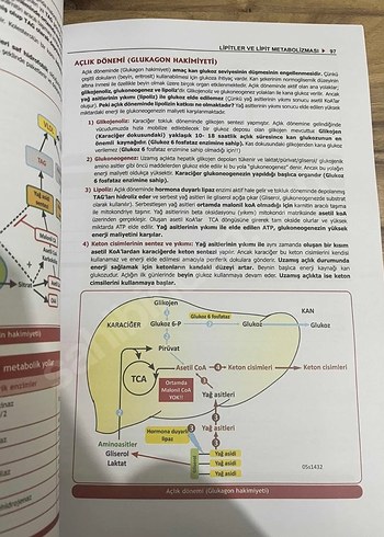 ProspekTUS Tusdata Biyokimya komite kitabı - Görsel 2