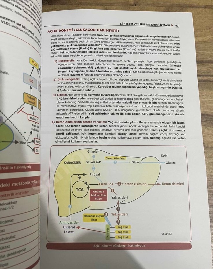ProspekTUS Tusdata Biyokimya komite kitabı - Görsel 2