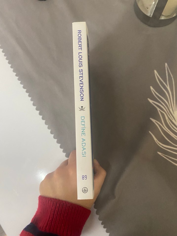 Define Adası - Robert Louis Stevenson - Görsel 3