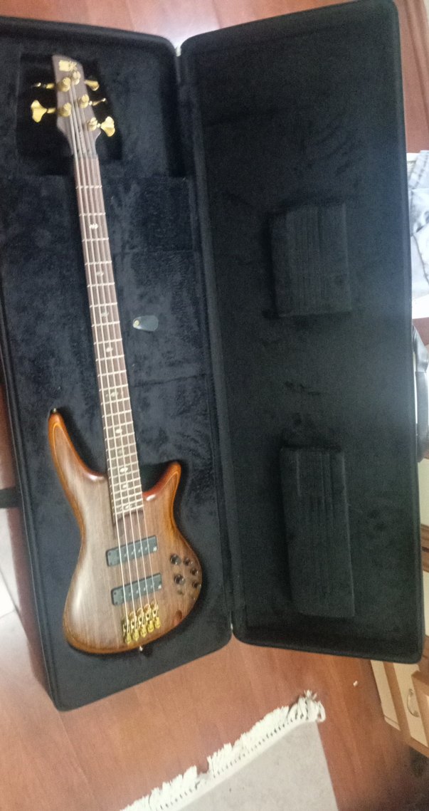 Ibanez Elektro Bas Gitar - Görsel 5