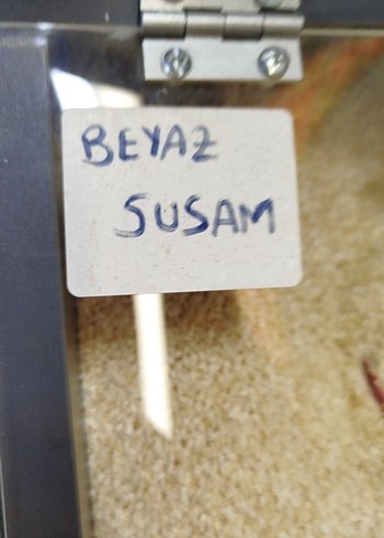 Hindistan Cevizi Tozu - Görsel 4