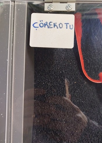 Hindistan Cevizi Tozu - Görsel 2