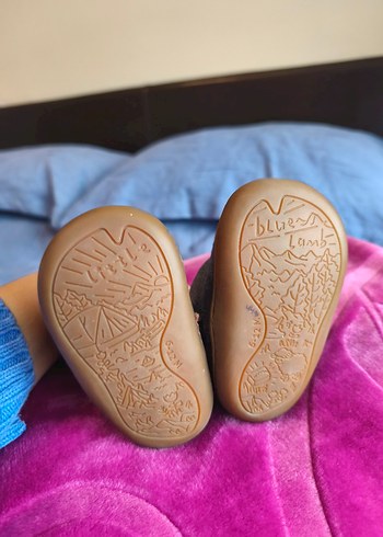 little blue lamb bebek bot - Görsel 4