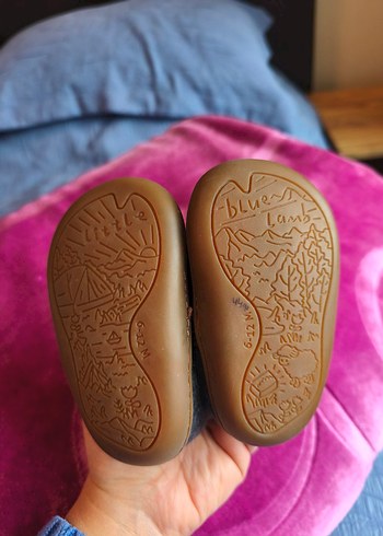 little blue lamb bebek bot - Görsel 8