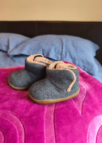 little blue lamb bebek bot - Görsel 2