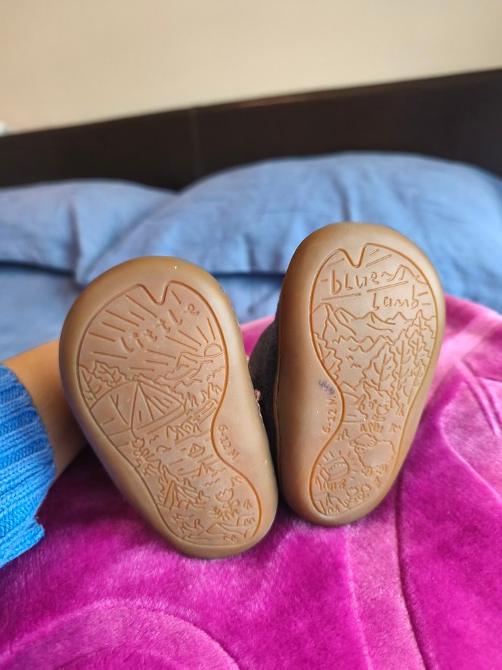 little blue lamb bebek bot - Görsel 4