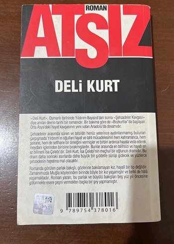Atsız - Deli Kurt Romanı - Görsel 2
