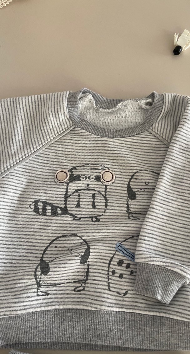 Gri Zebra Desenli Erkek Bebek Takımı - Görsel 2