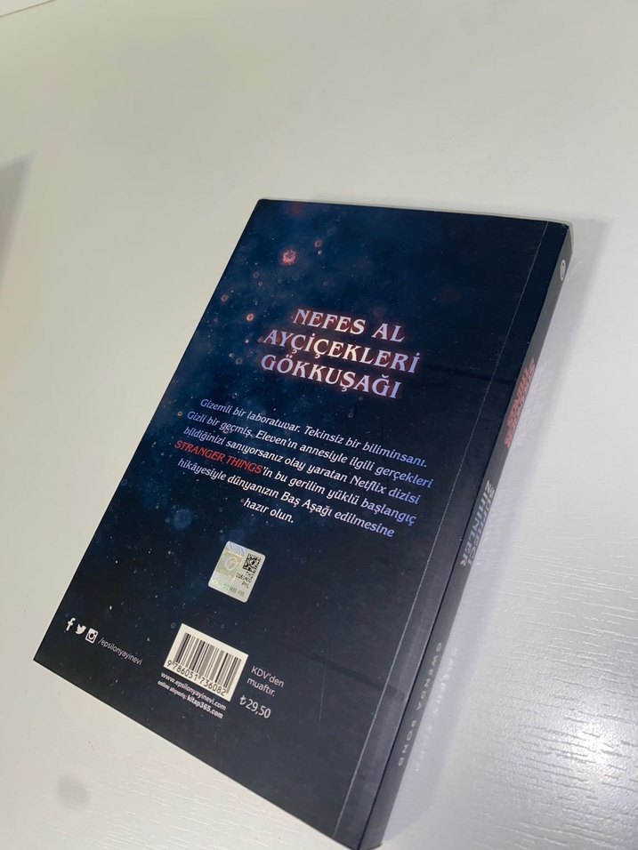 Stranger Things Kitap - Görsel 3