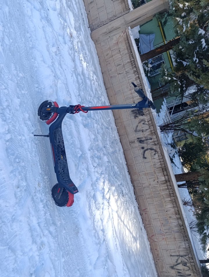 Mavi Çocuk Scooter'ı Red Bull Racing - Görsel 3