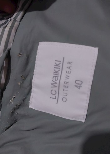 Yesil Kadın Mont Kapüşonlu Fermuarlı - Görsel 3