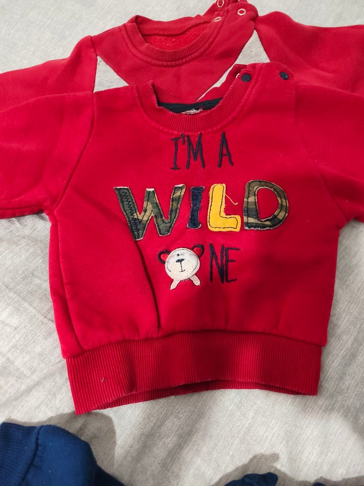 4 adet Erkek Çocuk Renkli Baskılı Sweatshirt - Görsel 3