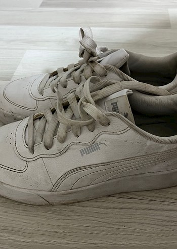 Puma 39