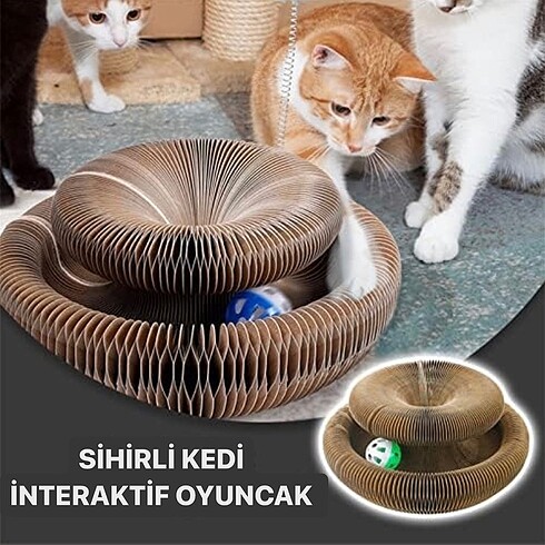 Sihirli Kedi Oyuncağı