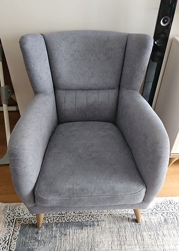 Bellona berjel - Görsel 2