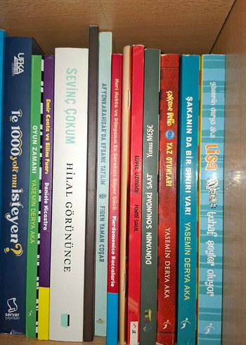 Kitap Rafında Roman Koleksiyonu - Görsel 5