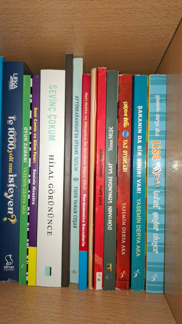 Kitap Rafında Roman Koleksiyonu - Görsel 5