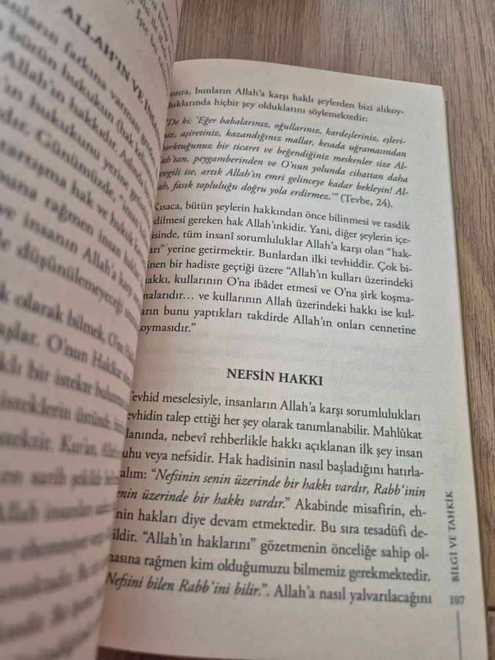 İbn Arabi Giriş Kitabı - William C. Chittick - Görsel 3