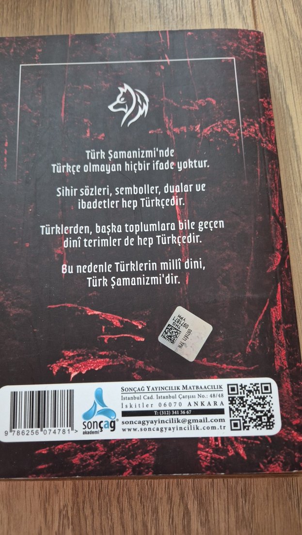 Türk Şamanizmi - Hasan Bekiroğlu - Görsel 2