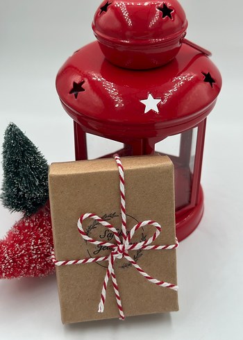 KARARMAZ ÇELİK HAREKETLİ BALIK ŞANS ŞAHMERAN - Görsel 3