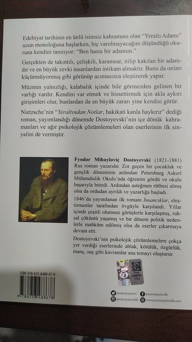 Yeraltından Notlar - Dostoyevski - Görsel 2