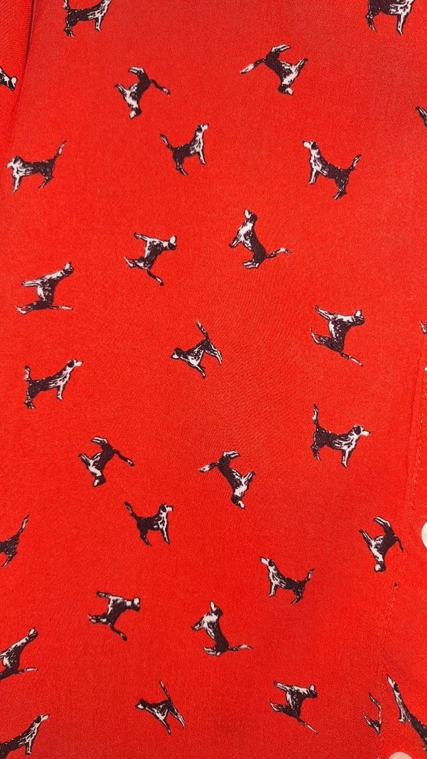 Düğmeli Kırmızı Uzun Kollu Kadın Gömlek - Görsel 4