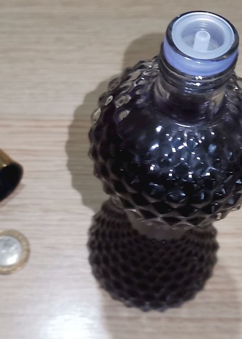 Karagül Kolonyası - Görsel 2