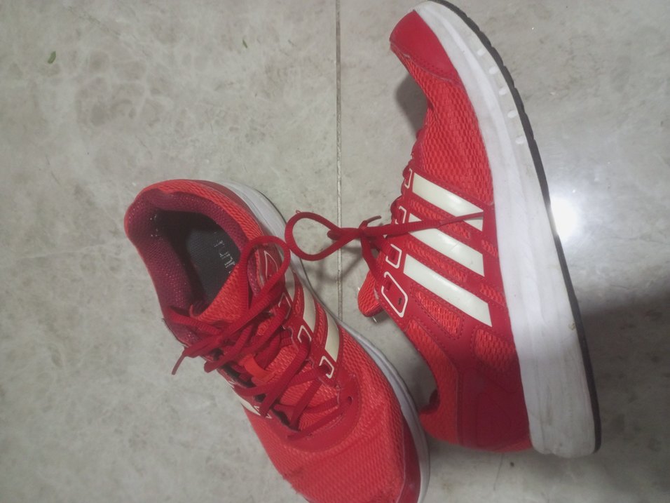 Adidas Kırmızı  Spor Ayakkabı Elastik Bağcıklı - Görsel 5