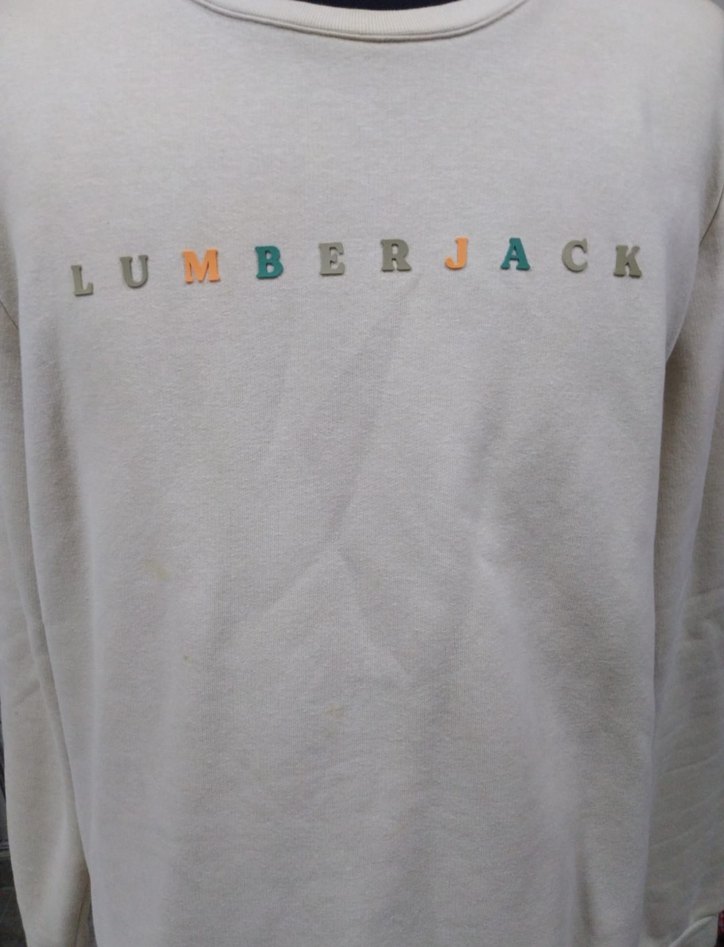 LUMBERJACK Beyaz Erkek Baskılı Sweatshirt - Görsel 5
