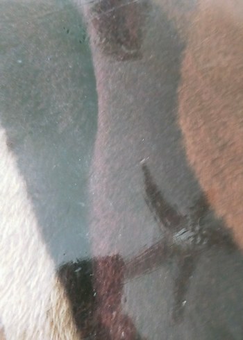 tek kişilik battaniye - Görsel 3