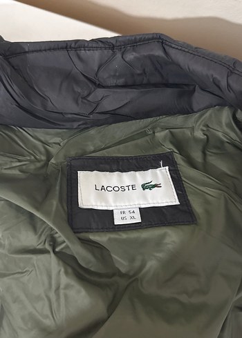 Lacoste yelek - Görsel 7