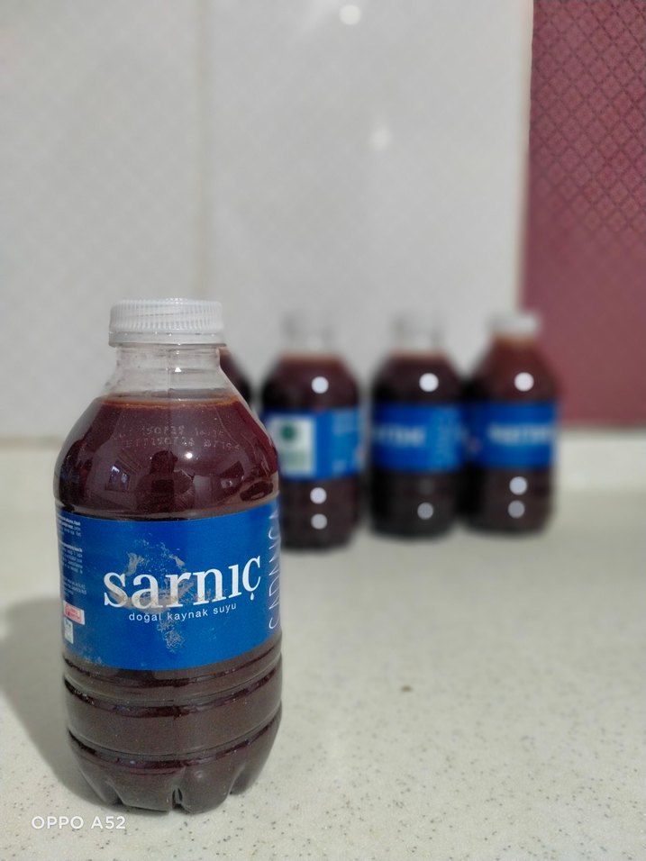 ÇAM/GICIMAK PEKMEZİ 330 ML DOĞAL EL YAPIMI 0,45 kg - Görsel 2