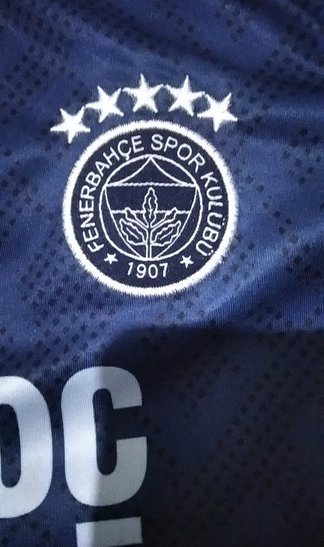 Mavi Baskılı Kısa Kollu Erkek Forma Takımı - Görsel 3