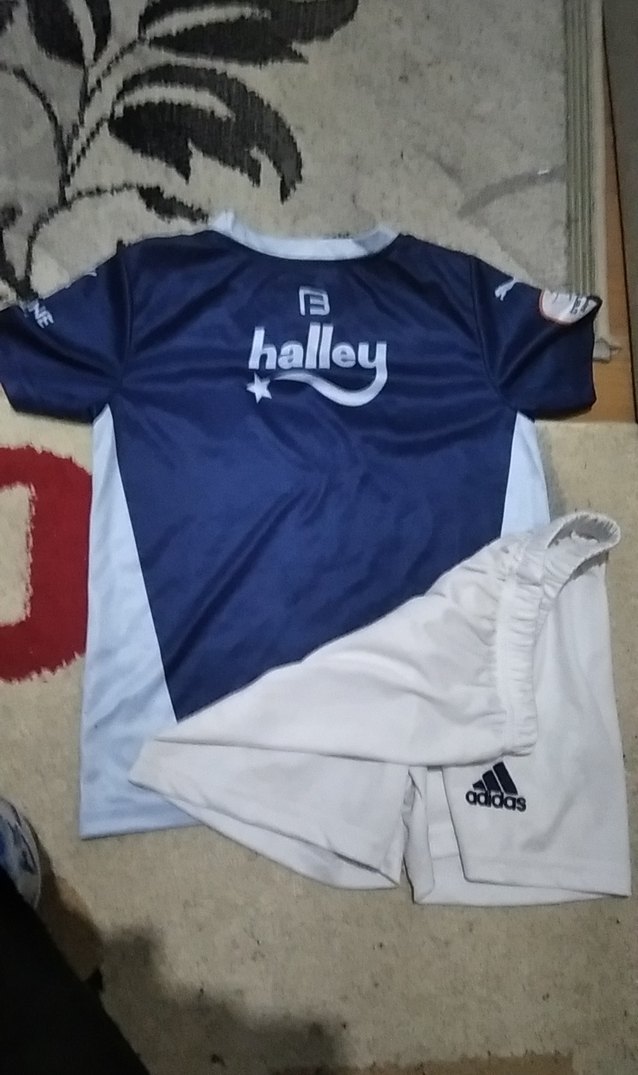 Mavi Baskılı Kısa Kollu Erkek Forma Takımı - Görsel 5