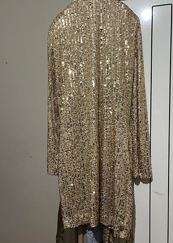 Zara Parlak Ceket - Görsel 2