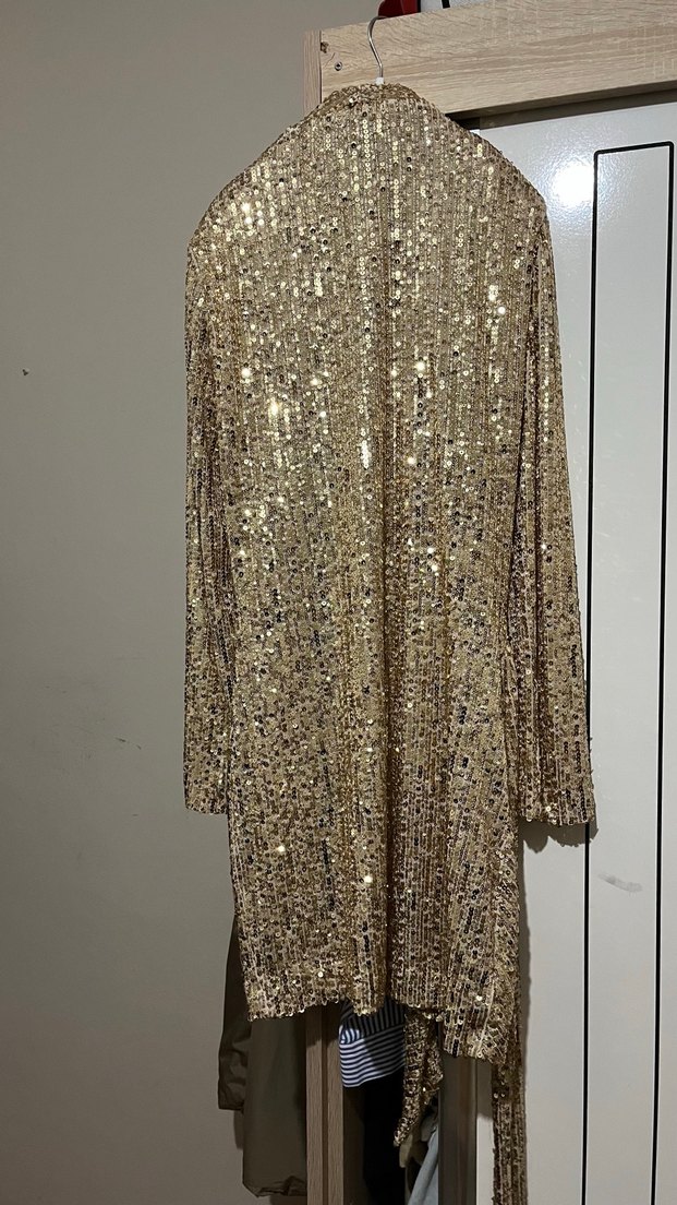 Zara Parlak Ceket - Görsel 2