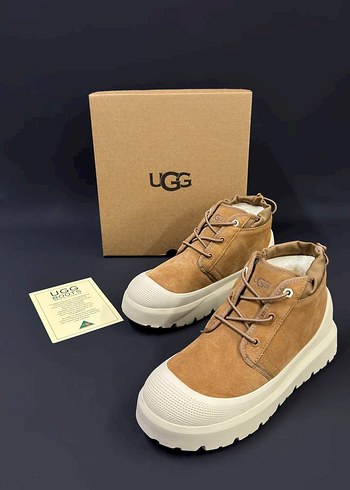 Ugg 41