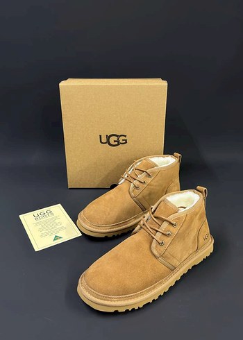 Ugg 43