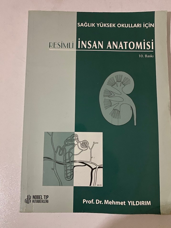 Resimli İnsan Anatomisi - Prof. Dr. Mehmet Yıldırım - Görsel 2