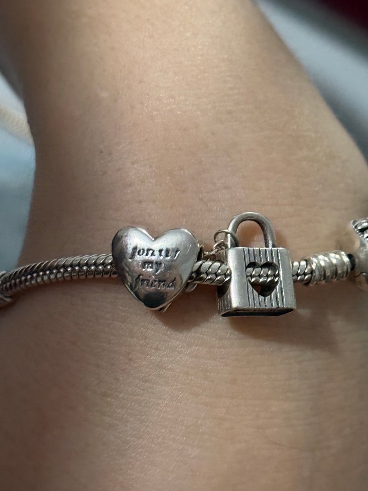 Pandora bileklik charmlı - Görsel 2