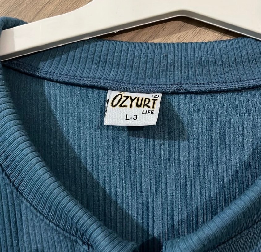 Uzun Kollu Mavi Nakışlı Kadın Bluz - Görsel 2