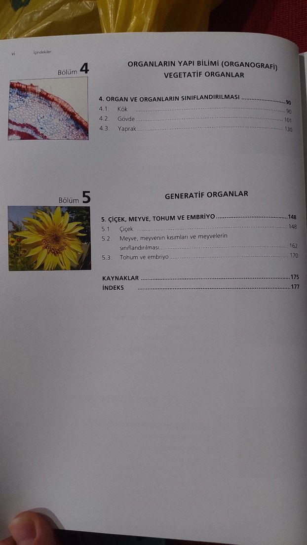 Genel Botanik ve Bitki Anatomisi Atlası - Görsel 3