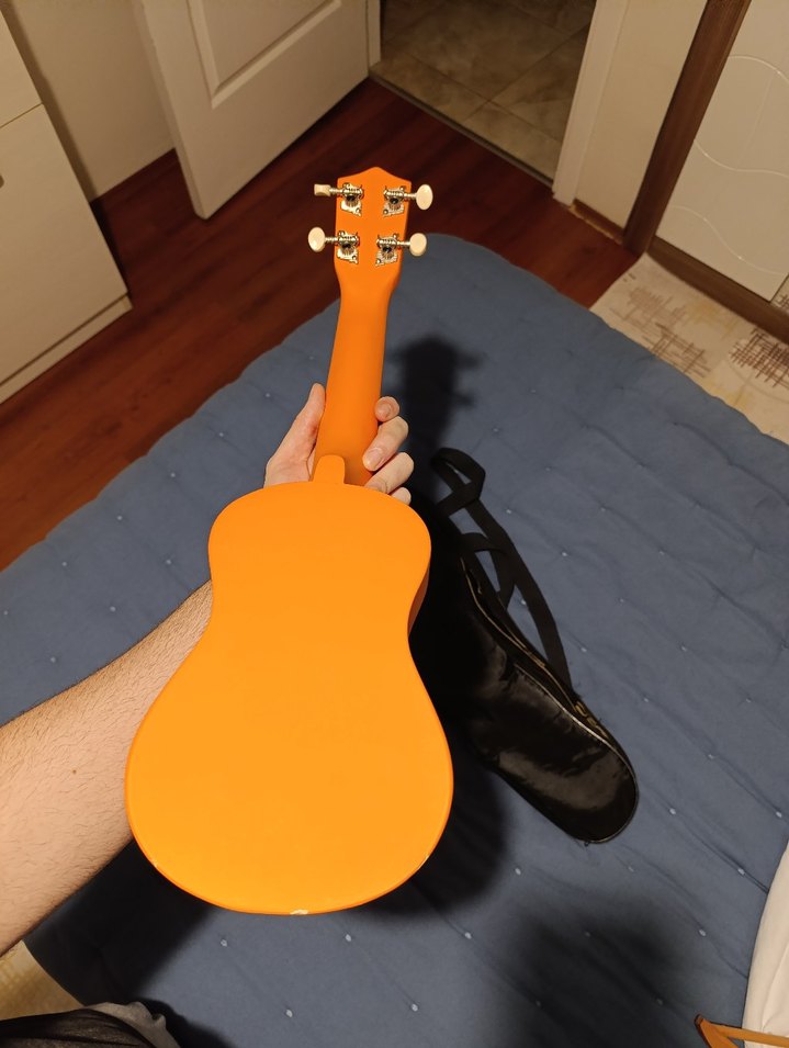 Jwin Marka Renkli Sarı Ukulele ve Kılıfı - Görsel 2