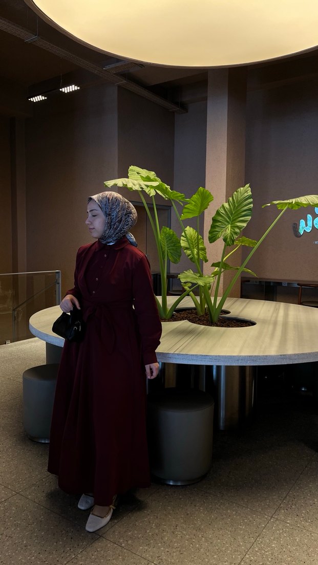 Tesettür elbise - Görsel 4