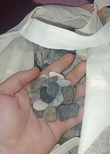 Tropikal Balık Yemi ve Su Temizleyici Seti - Görsel 2