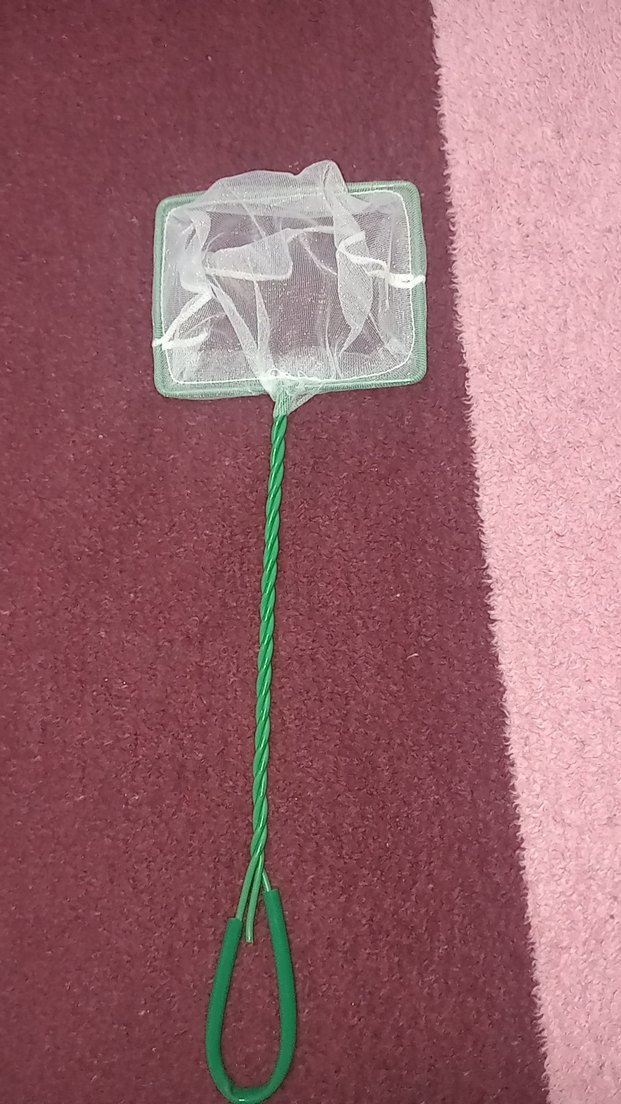 Tropikal Balık Yemi ve Su Temizleyici Seti - Görsel 3