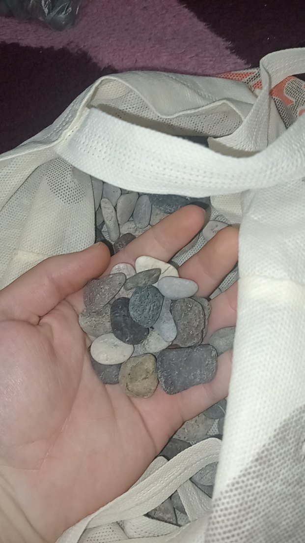 Tropikal Balık Yemi ve Su Temizleyici Seti - Görsel 2